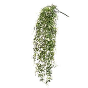 Artificial Lady fern hanging plant KALI, spike, crossdoor, green, 31"/80cm Artificial Lady fern hanging plant KALI, spike, crossdoor, green, 31"/80cm