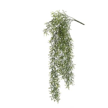 Artificial Rhipsalis hanging plant PUEBLA on spike, green, 30"/75cm Artificial Rhipsalis hanging plant PUEBLA on spike, green, 30"/75cm