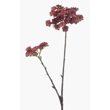 Artificial echeveria spray KALUPA, burgundy red, 20"/50cm Artificial echeveria spray KALUPA, burgundy red, 20"/50cm