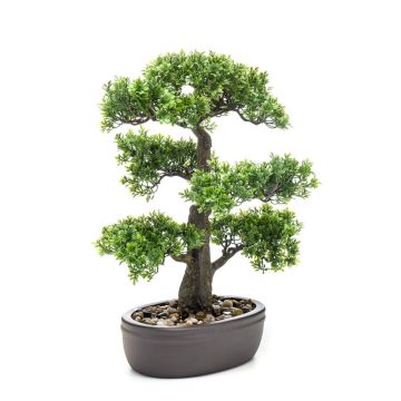 Artificial Bonsai Ficus ROMILDA in planter, 18"/45cm Artificial Bonsai Ficus ROMILDA in planter, 18"/45cm