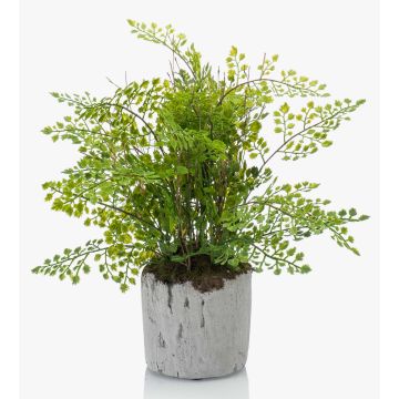 Plastic maidenhair fern SANTINA in cement pot, green, 12"/30cm