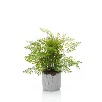 Plastic maidenhair fern SANTINA in cement pot, green, 12"/30cm Plastic maidenhair fern SANTINA in cement pot, green, 12"/30cm