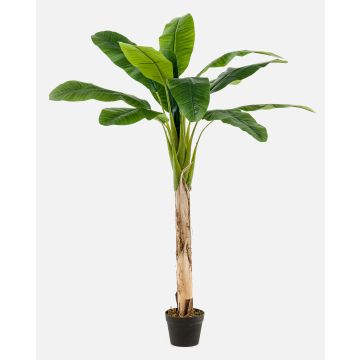 Artificial banana tree BAGHEERA, 5ft/150cm