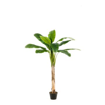 Artificial banana tree BAGHEERA, 5ft/150cm