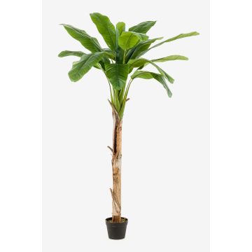 Artificial banana tree BAGHEERA, 6ft/180cm