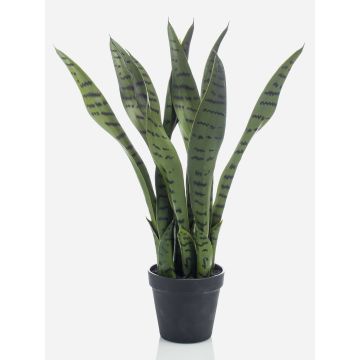 Artificial plant Sansevieria POLIANA, green, 20"/50cm Artificial plant Sansevieria POLIANA, green, 20"/50cm