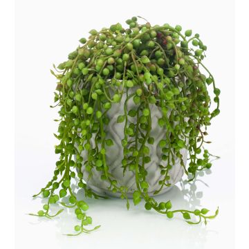 Artificial plant Senecio PIURA in cement pot, green, 6"/15cm