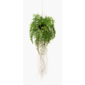 Artificial hanging basket with Boston fern NILO, soil ball, roots, 28"/70cm, Ø14"/35cm
