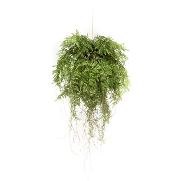 Artificial hanging basket with Boston fern NILO, soil ball, roots, 30"/75cm, Ø22"/55cm Artificial hanging basket with Boston fern NILO, soil ball, roots, 30"/75cm, Ø22"/55cm
