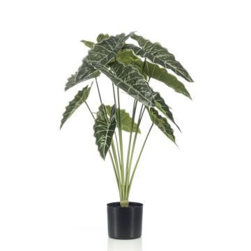 Artificial alocasia Sanderiana FIORELLA, green, 31"/80cm