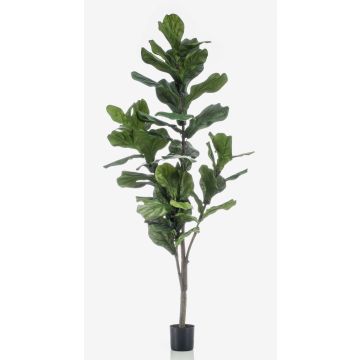 Artificial Ficus Lyrata ENRIKO, artificial stem, green, 5ft/150cm