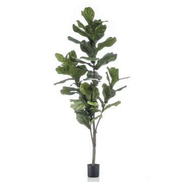Artificial Ficus Lyrata ENRIKO, artificial stem, green, 5ft/150cm Artificial Ficus Lyrata ENRIKO, artificial stem, green, 5ft/150cm