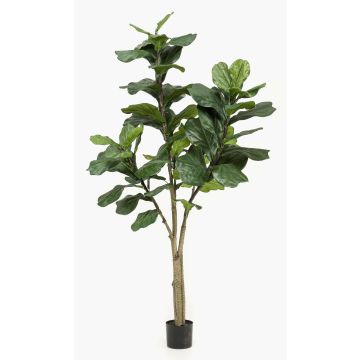 Artificial Ficus Lyrata ENRIKO, artificial stem, green, 6ft/180cm