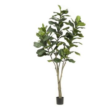 Artificial Ficus Lyrata ENRIKO, artificial stem, green, 7ft/210cm Artificial Ficus Lyrata ENRIKO, artificial stem, green, 7ft/210cm