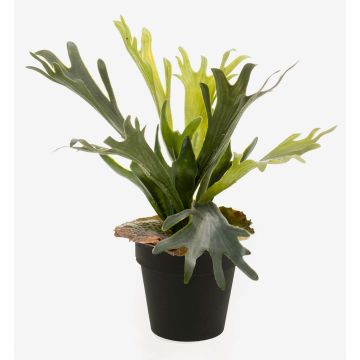 Artificial staghorn fern LENNON, green, Ø14"/35cm