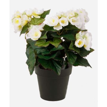Artificial begonia DOBRADA, cream, 12"/30cm