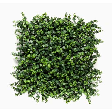 Artificial eucalyptus hedge / mat JASE, crossdoor, green, 20"x20"/50x50cm Artificial eucalyptus hedge / mat JASE, crossdoor, green, 20"x20"/50x50cm