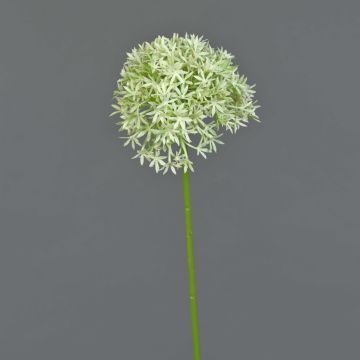 Artificial allium ARNAU, cream-green, 24"/60cm