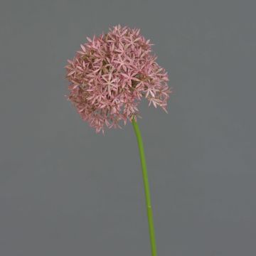 Artificial allium ARNAU, pink, 24"/60cm