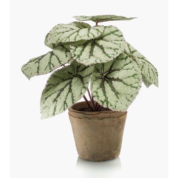 Artificial begonia rex MEIRA in terracotta pot, green-grey, 10"/25cm