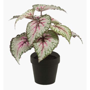 Artificial begonia rex MEIRA, green-light pink, 10"/25cm