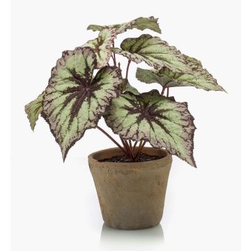 Artificial begonia rex MEIRA in terracotta pot, green-violet, 10"/25cm