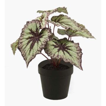 Artificial begonia rex MEIRA, green-violet, 10"/25cm
