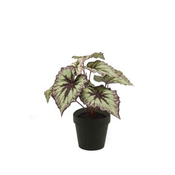 Artificial begonia rex MEIRA, green-violet, 10"/25cm