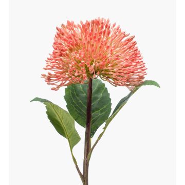 Plastic sedum flower JICAMA, light pink, 18"/45cm Plastic sedum flower JICAMA, light pink, 18"/45cm