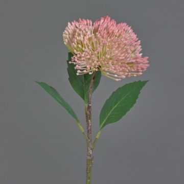 Plastic sedum flower JICAMA, light pink, 18"/45cm