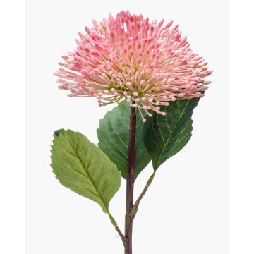 Plastic sedum flower JICAMA, light pink-white, 18"/45cm Plastic sedum flower JICAMA, light pink-white, 18"/45cm