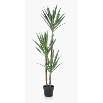 Artificial yucca FRONTEIRA, 5ft/150cm