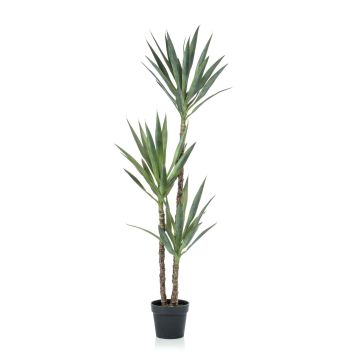 Artificial yucca FRONTEIRA, 5ft/150cm