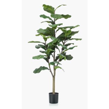 Artificial Ficus Lyrata EUSEBI, artificial stem, green, 4ft/120cm