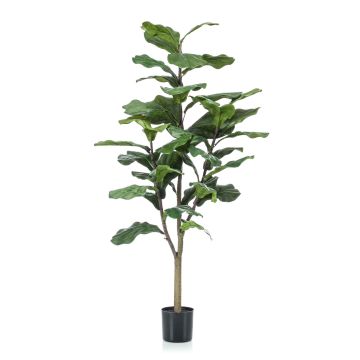 Artificial Ficus Lyrata EUSEBI, artificial stem, green, 4ft/120cm Artificial Ficus Lyrata EUSEBI, artificial stem, green, 4ft/120cm
