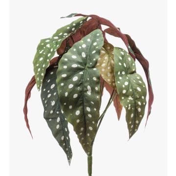 Artificial polka dot begonia ELISEIA on spike, green-white, 12"/30cm