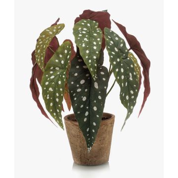 Artificial polka dot begonia ELISEIA, terracotta pot, green-white, 12"/30cm