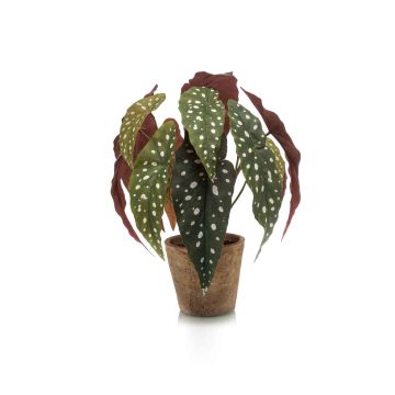 Artificial polka dot begonia ELISEIA, terracotta pot, green-white, 12"/30cm Artificial polka dot begonia ELISEIA, terracotta pot, green-white, 12"/30cm