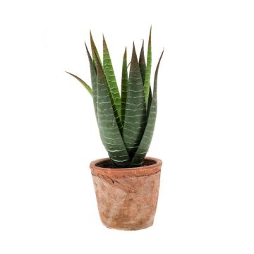 Artificial aloe variegata MARTINEZ in terracotta pot, green, 8"/20cm, Ø7"/17cm