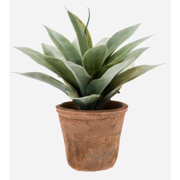 Plastic agave DESIREE in terracotta pot, green, 8"/20cm, Ø10"/25cm