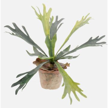 Artificial staghorn fern MARLEY in terracotta pot, green, Ø18"/45cm