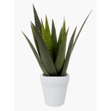 Artificial aloe variegata MARTINEZ, ceramic pot, green, 12"/30cm, Ø7"/17cm Artificial aloe variegata MARTINEZ, ceramic pot, green, 12"/30cm, Ø7"/17cm