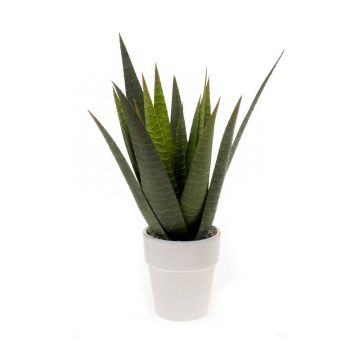 Artificial aloe variegata MARTINEZ, ceramic pot, green, 12"/30cm, Ø7"/17cm