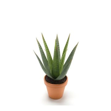 Artificial aloe variegata MARTINEZ, terracotta pot, green, 12"/30cm, Ø7"/17cm