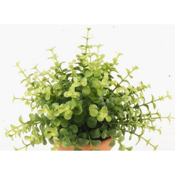 Artificial eucalyptus JOSHUA on spike, green, 8"/20cm, Ø7"/17cm