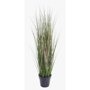 Plastic foxtail grass SAMMI, green, 26"/65cm