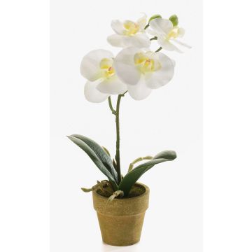Artificial Phalaenopsis orchid SETH in decorative pot, cream, 10"/25cm