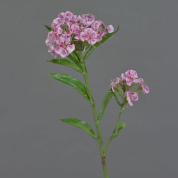 Artificial sweet william ARCHIE, pink-light pink, 24"/60cm, Ø2.8"-6"/7-16cm Artificial sweet william ARCHIE, pink-light pink, 24"/60cm, Ø2.8"-6"/7-16cm