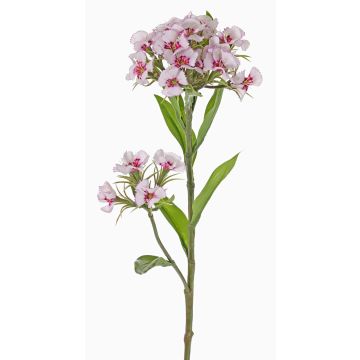 Artificial sweet william ARCHIE, cream-fuchsia, 24"/60cm, Ø3.1"-5.5"/8-14cm Artificial sweet william ARCHIE, cream-fuchsia, 24"/60cm, Ø3.1"-5.5"/8-14cm