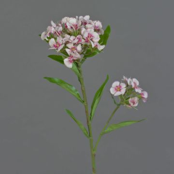 Artificial sweet william ARCHIE, cream-pink, 24"/60cm, Ø2.8"-6"/7-16cm Artificial sweet william ARCHIE, cream-pink, 24"/60cm, Ø2.8"-6"/7-16cm